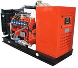 Cummins Biomass Genset/Biogas Generator