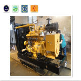 Hot Sale China Famous Lvhuan 100kw Biogas Generator with CE/ISO/Cu-Tr