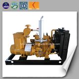 CE and ISO High Efficiency Cogeneration Small Biogas Power Generator Biogas Generator