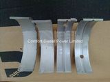 Cummins M11 Engine Parts 4025120 Main Bearing Set