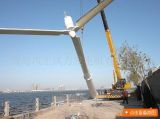 30kw Wind Generator/ Wind Turbine