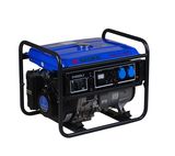 Gasoline Generator (DY6800LX)