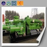 Straw Gas Electric Engine Biomass Generator MW Power Plant