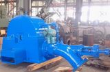 Pelton Turbine/ Turbine/ Horizontal Turbine/ Turbine Generator/ Single Nozzle Pelton