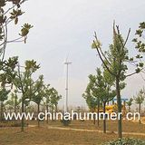 50kw Wind Turbine Generator Three Phase Output