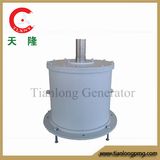 Ffl-10kw/ 150rpm/ DC240V Permanent Magnet Generator (PMG, PMA, Hydro)