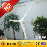 3kw Wind Generator From China Manufacturer (Wind Turbine Generator 90W-300KW)