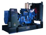 Cummins Diesel Generator Set (H-C)