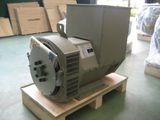 64kw (80kVA) Three Phase Brushless AC Alternator (JDG224GS)