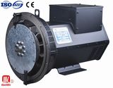 Twg Series Marine Brushless AC Synchronous Generator, Alternator