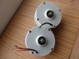 100W 24V AC Low Rpm Permanent Magnet Generator (YC-NEG100)