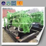 Biomass Power Plant Engine Gasification Gas Generator Price