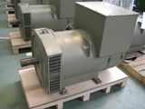 260 Kw Three Phase Brushless Alternator (JDG314ES)