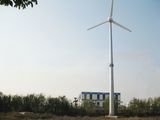 Small Wind Turbine Generator 30kw for Sale