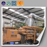 New Energy CE Approved Biomass Gasification Electric Generator