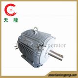 Ff-3kw/273rpm/AC380V Permanent Magnet Alternator (PMG/PMA/Hydro)