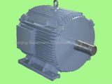 6kw Horizontal Permanent Magnet Generator/Alternator