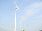 5000w Wind Turbine (SFD-5000)