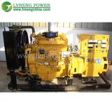 LPG/CNG Generator Cummins Brand with Low Price