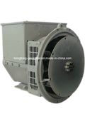 2 Pole Brushless AC Alternator (10kw)