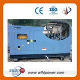 CHP Diesel/Gas Generator Set