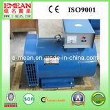 St Series Single Phase AC Synchronous Alternator Generator