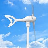 High Power 1kw Wind Power Generator