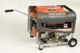 Gasoline Generator (SS3600)