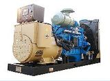 Diesel Generator Set