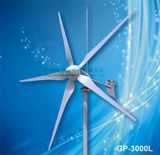 3000W Wind Turbine