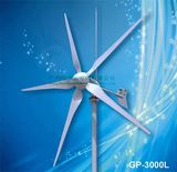 3000W Wind Turbine