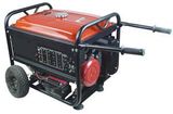 Gasoline Generator(RDG4500)