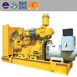 Silent Gas Generator Wood Waste Electric Power Biomass Generator