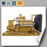300kw Biomass Gasification Power Plant