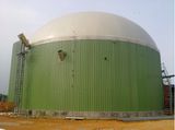 Double Membrane Gas Storage Tank