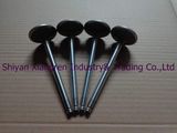 Cummins Engine Valve Set