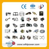 Weichai Ricardo Spare Parts