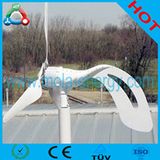 Wind Energy System for Street Light/Park/Seaside