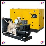 Diesle Silent Power Generator