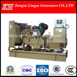 Wudong Engine Brand Genset Alternator Electric Starter 300kw