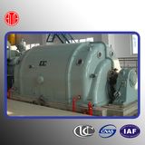 Electric Generator Biomass Steam Turbine