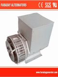 Brushless Permanent Magnet Well-Selling Alternator Producer