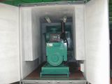 Containerlized Diesel Generators