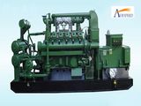 300kw Flexible Installation Capacity Gas Generator Set