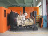 Cummins Diesel Generator Set