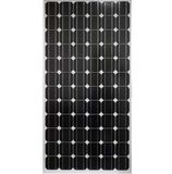 Monocrystalline Modules