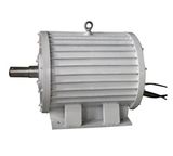 50kw 750rpm Brushless Permanent Magnet Generators