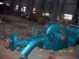 Standard Pelton Water Turbine Generator (CJA475-W-110-2*10)