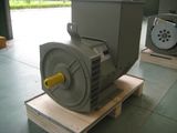 Double Bearing Alternator 64kw (JDG224GS)