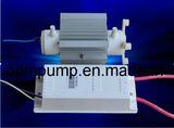 2g/Hr Enamel Tube Ozone Generator Unit (PDMET2)